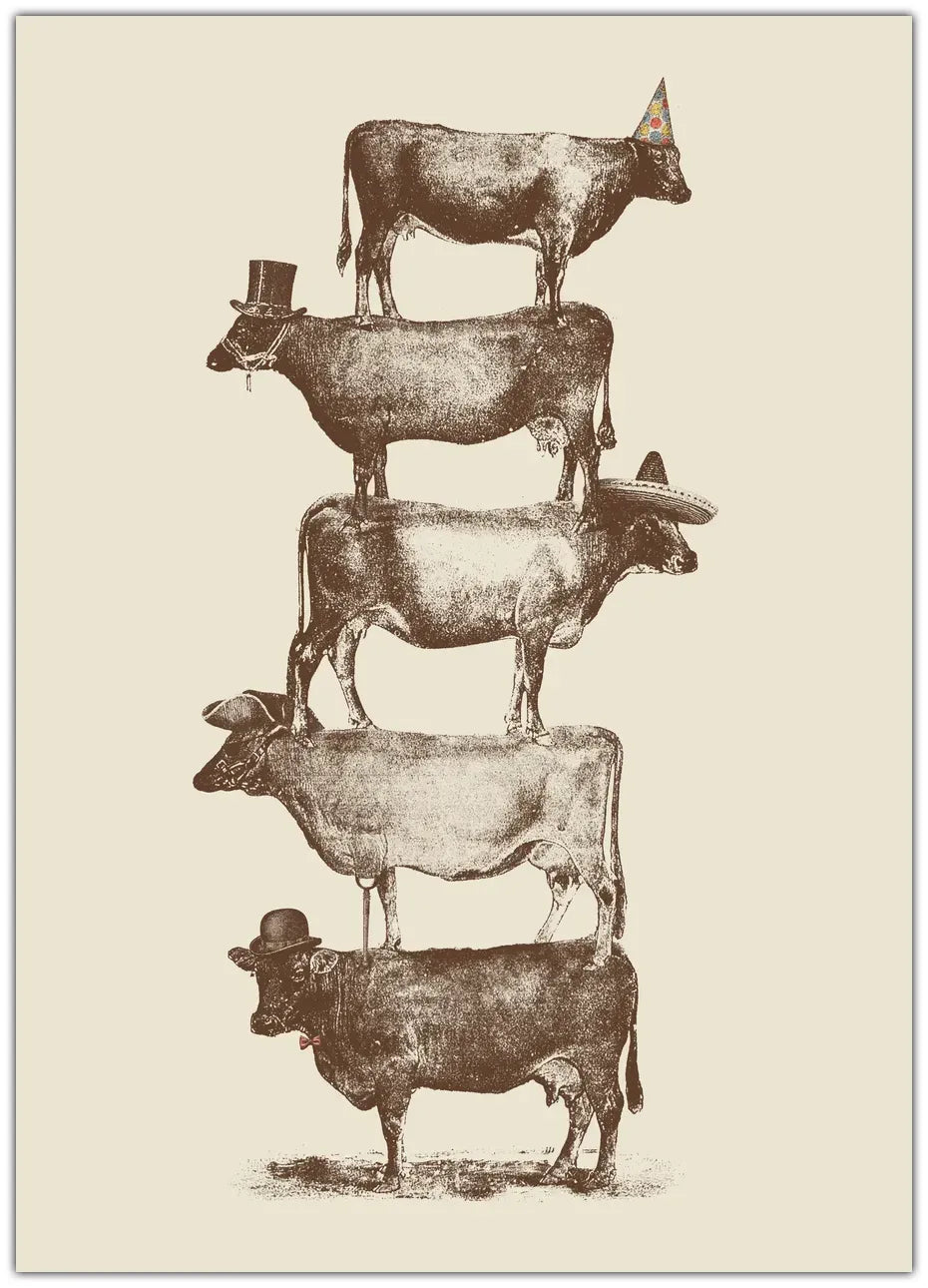 Cow Cow Nuts Plakat