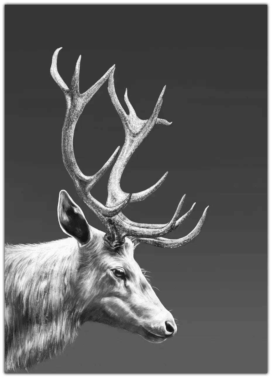 Reindeer Plakat