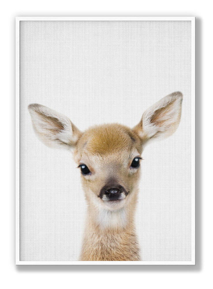 Peekaboo Baby Deer Poster