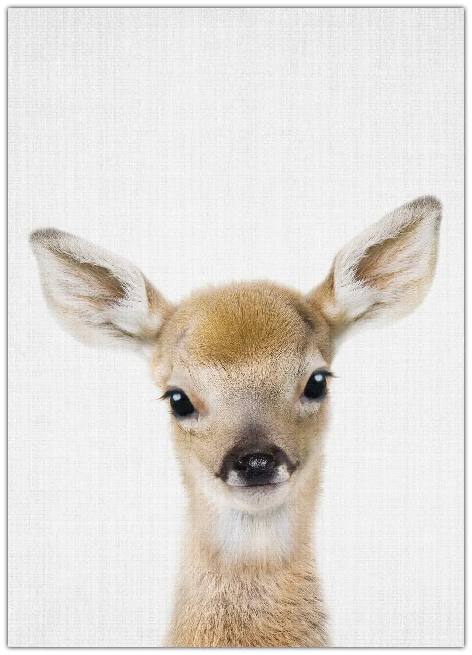 Peekaboo Baby Deer Plakat