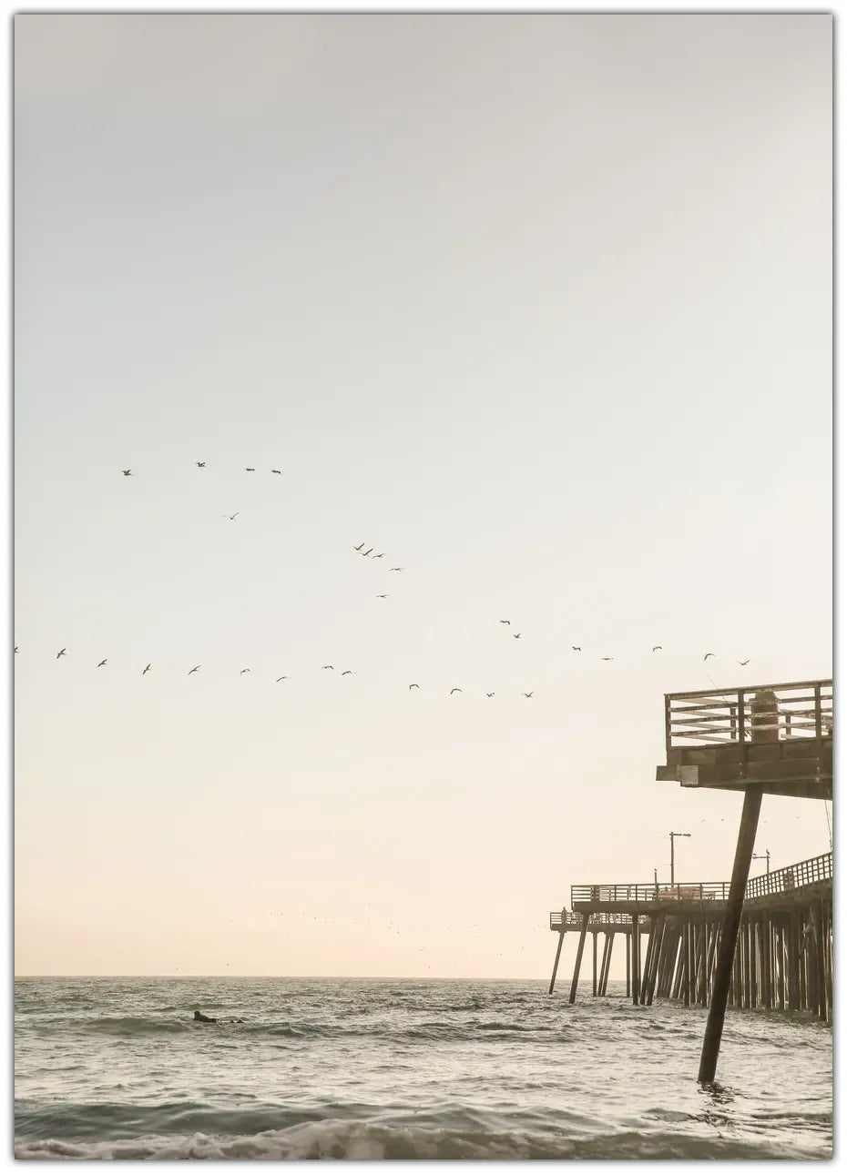 California Surfers Plakat