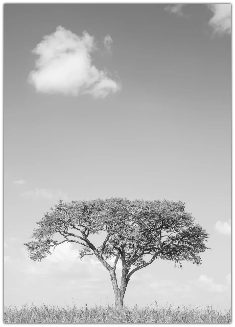 Camel Thorn Plakat