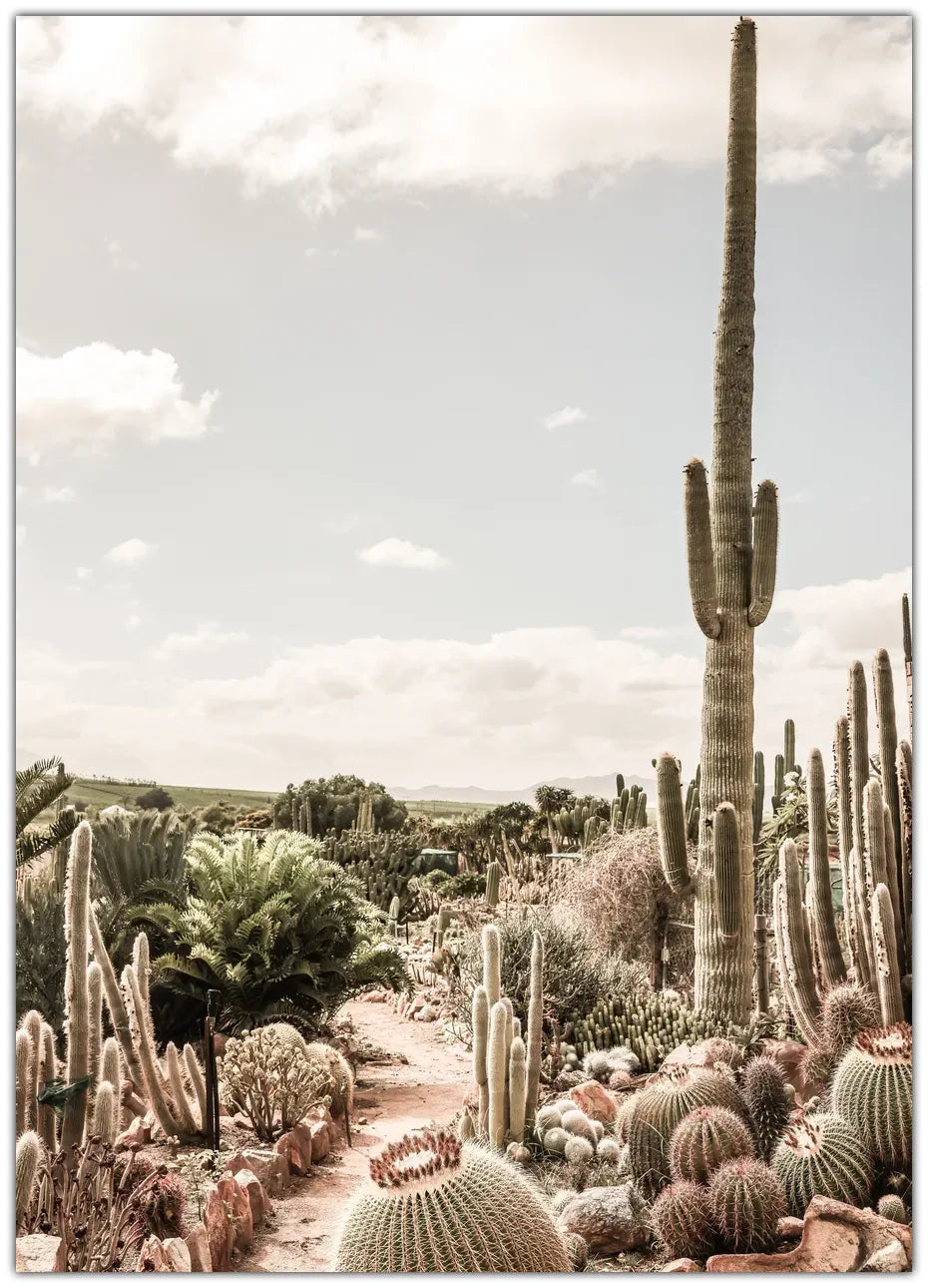 Cactus Farm Plakat