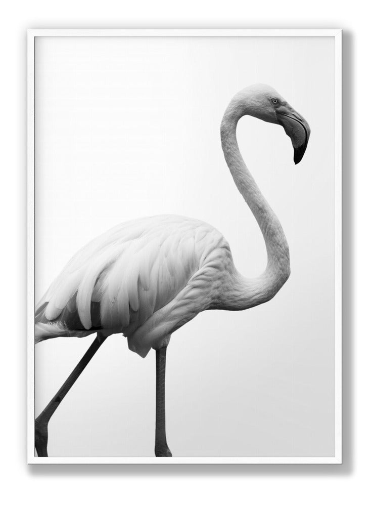 Dancer Plakat