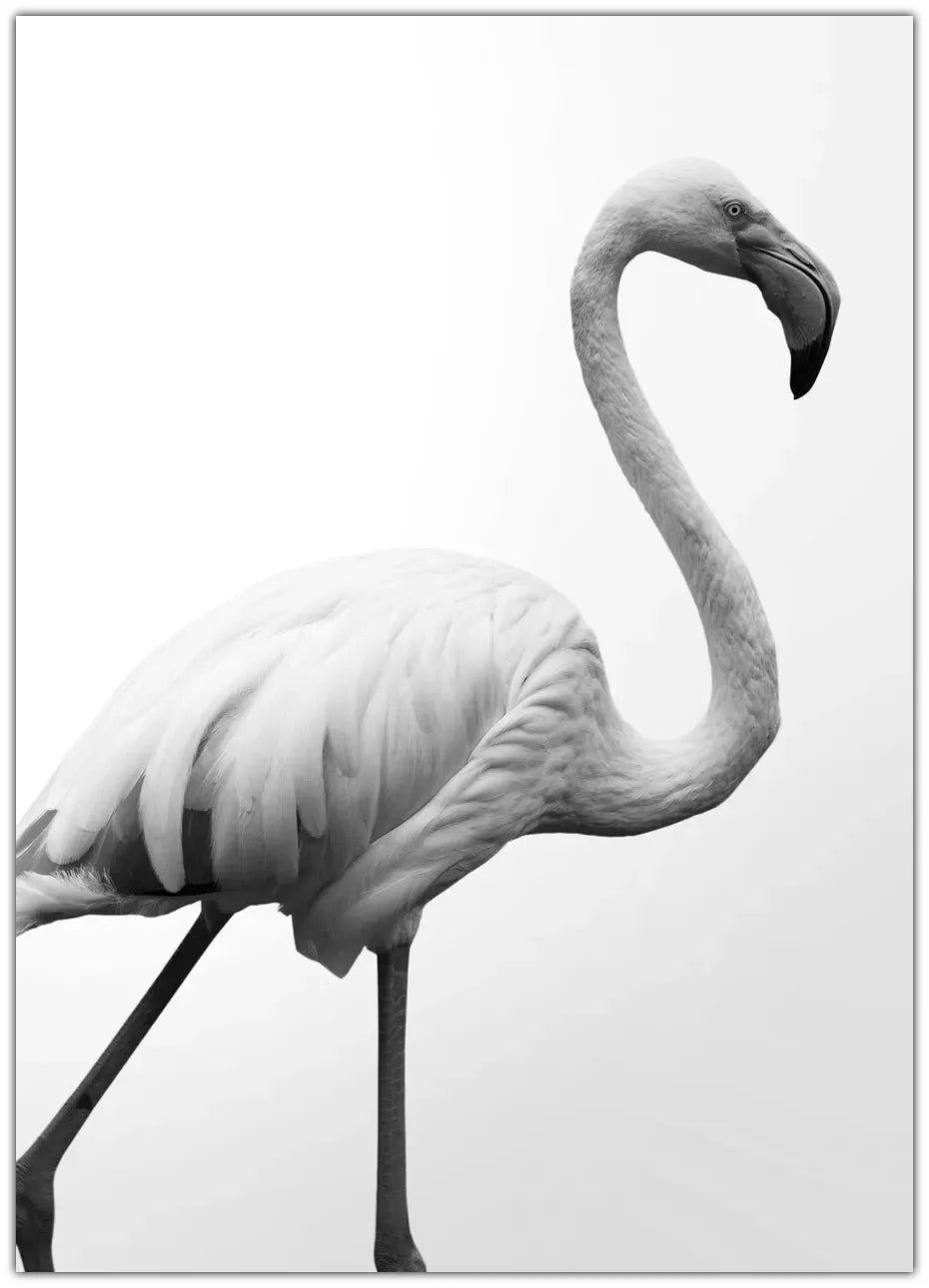 Dancer Plakat