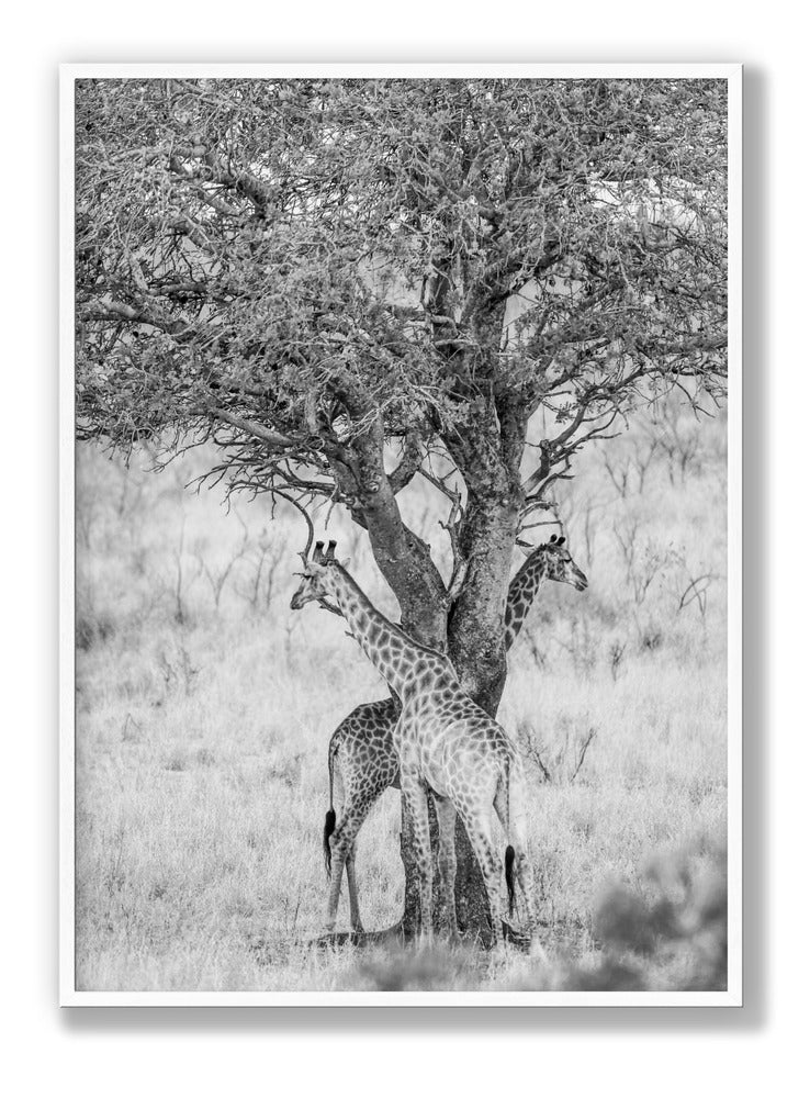 Got Your Back Plakat