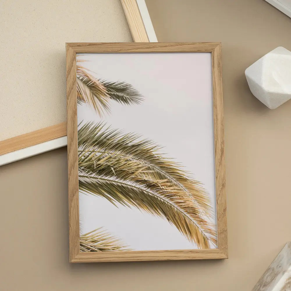 Oasis Palm 2 Plakat