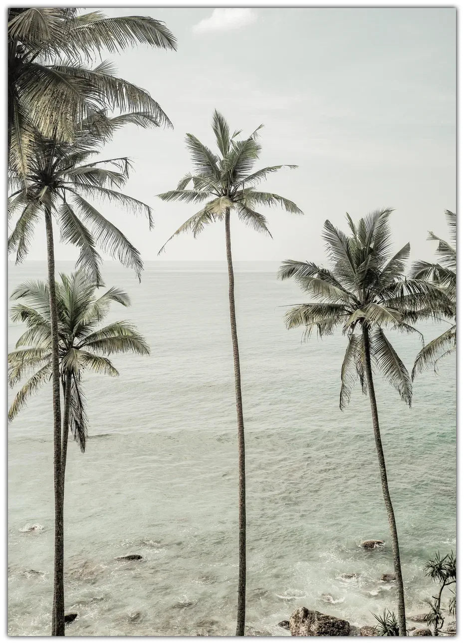 Tropical Dreams Plakat