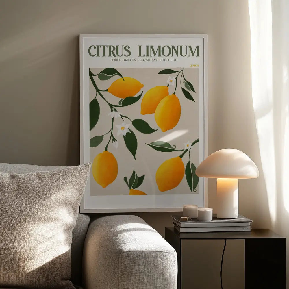 Citrus Limonum - Lemon Plakat