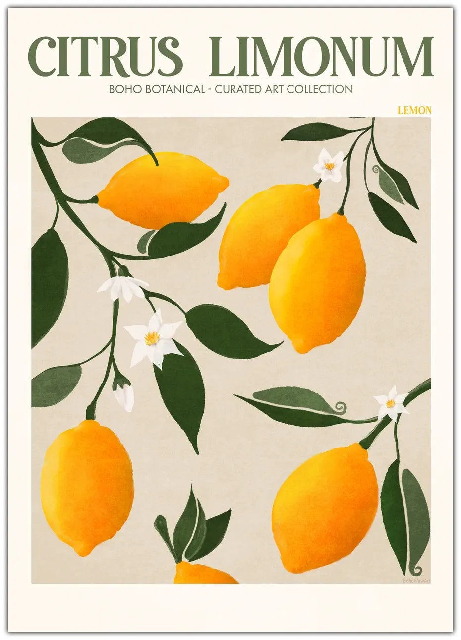 Citrus Limonum - Lemon Plakat