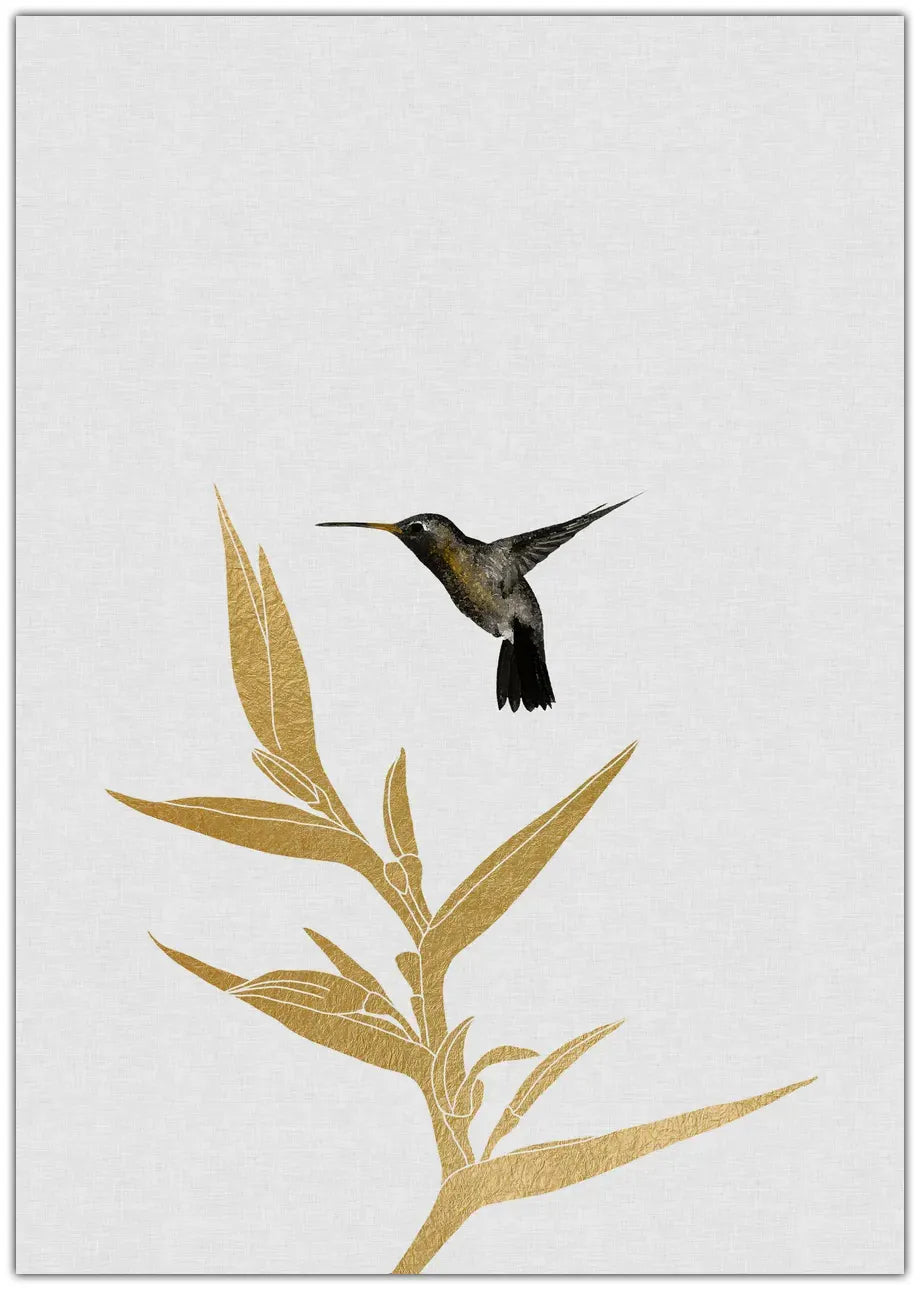 Hummingbird & Flower Ii Plakat