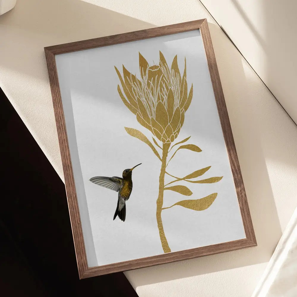 Hummingbird & Flower I Plakat