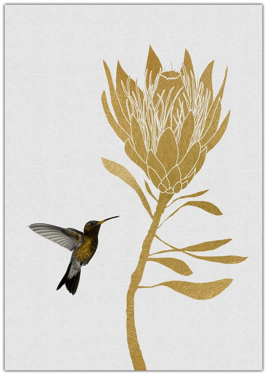Hummingbird & Flower I Plakat