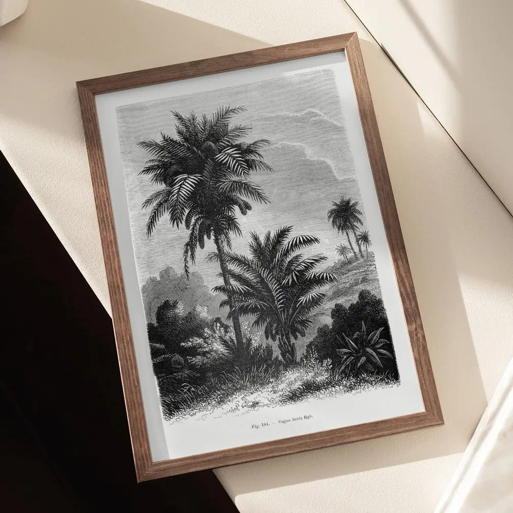 Vintage Palm Tree Drawing V Plakat