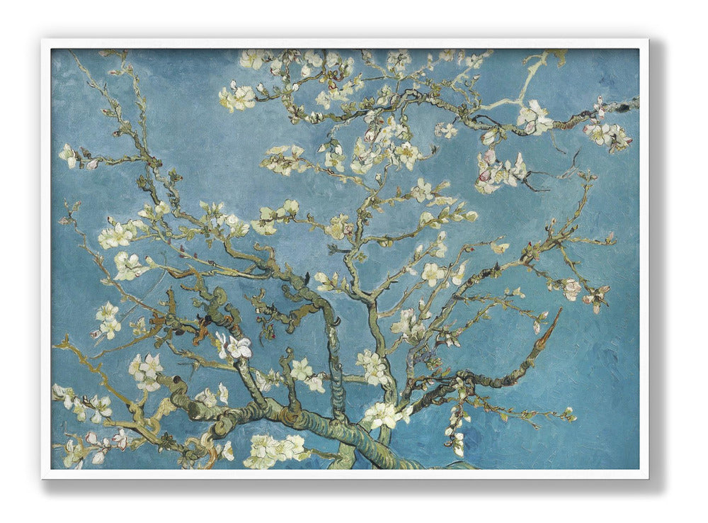 Mandelblüte von Vincent Van Gogh, 1890 Poster