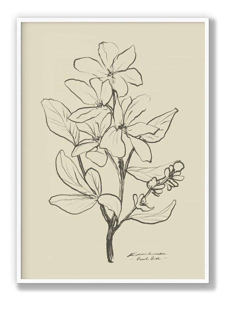 Floral 1 Plakat