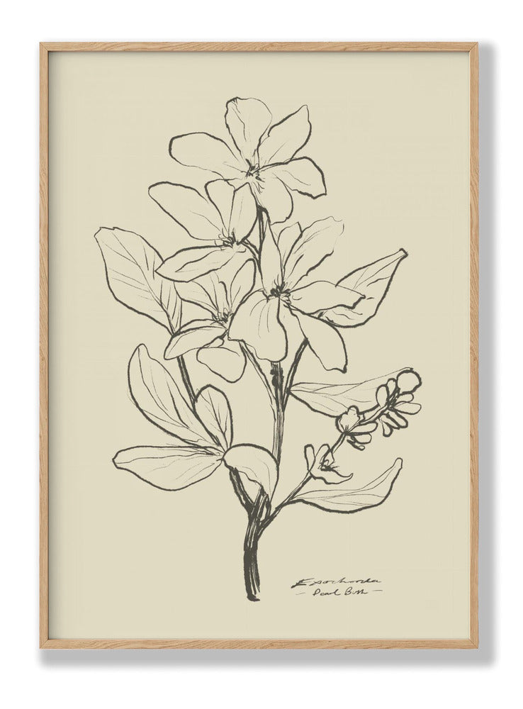 Floral 1 Plakat