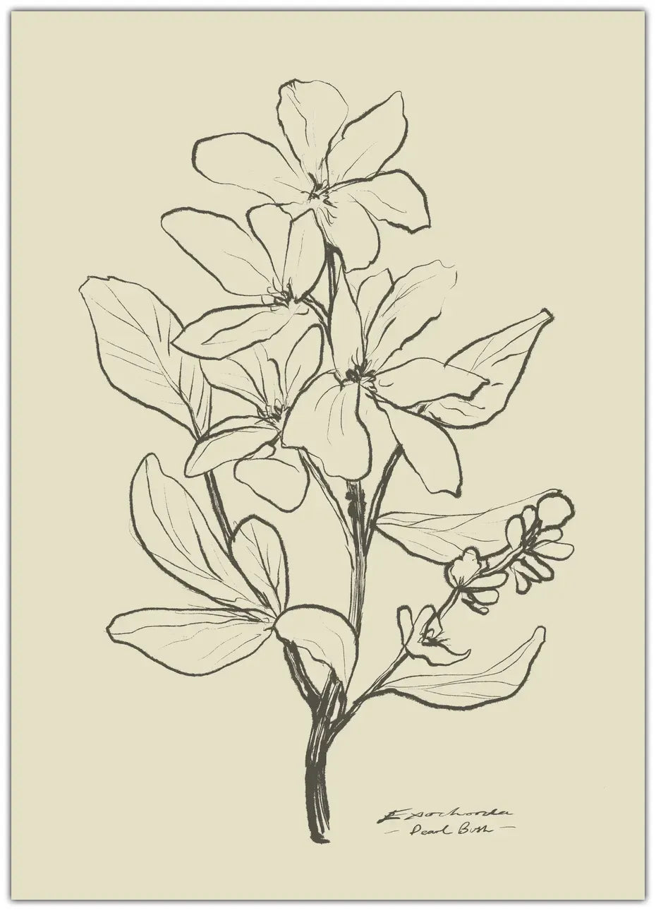 Floral 1 Plakat