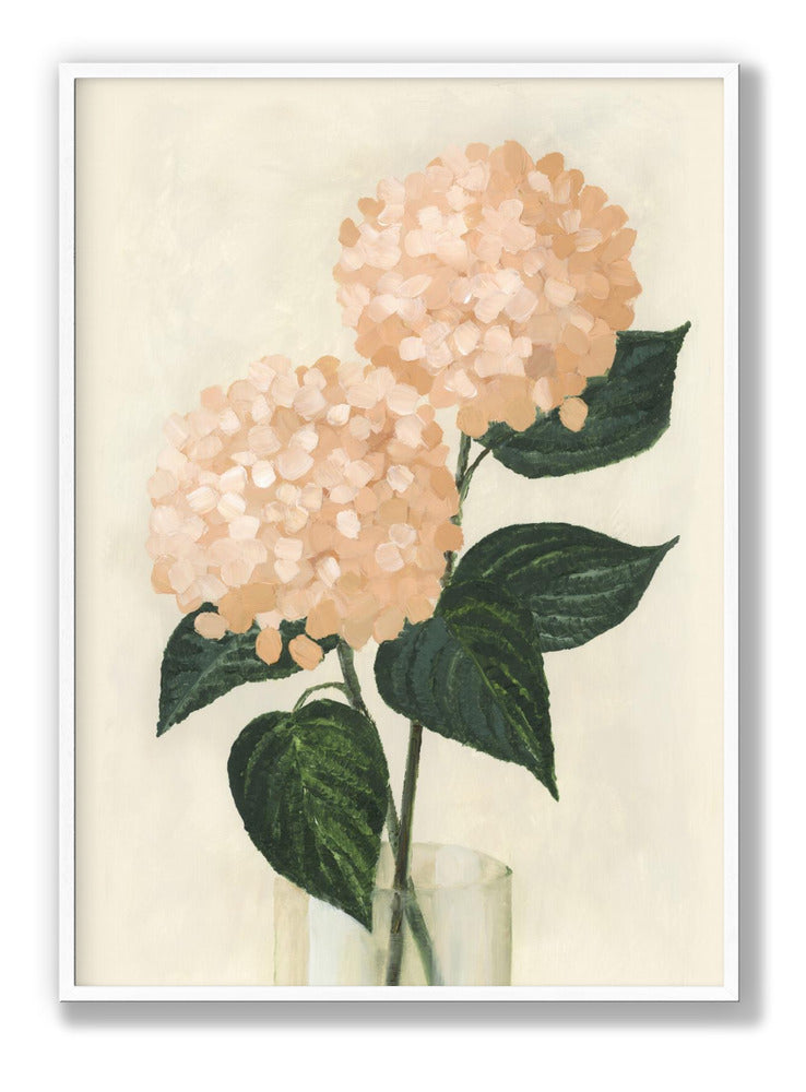 Coral hydrangeas in a vase Plakat