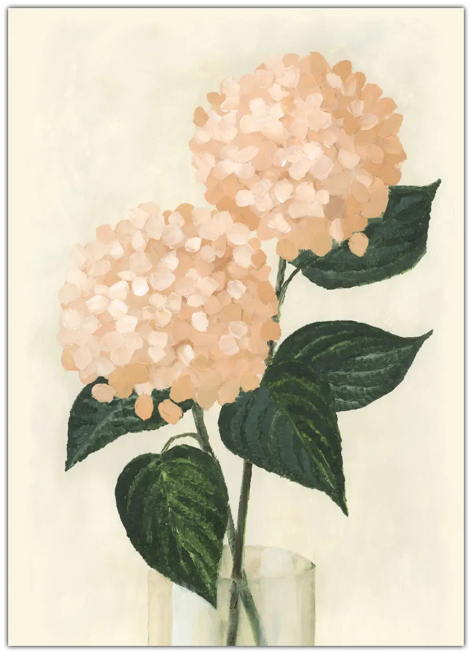 Coral hydrangeas in a vase Plakat
