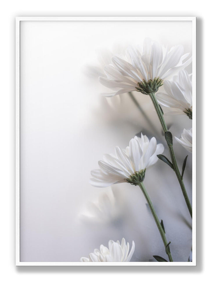 Blurred Flowers 8 Plakat