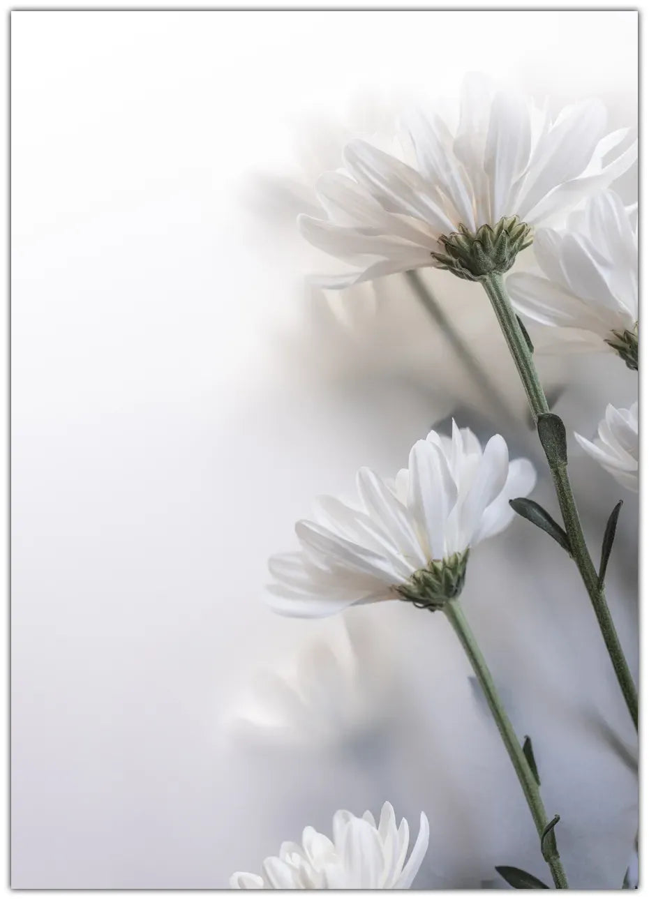 Blurred Flowers 8 Plakat