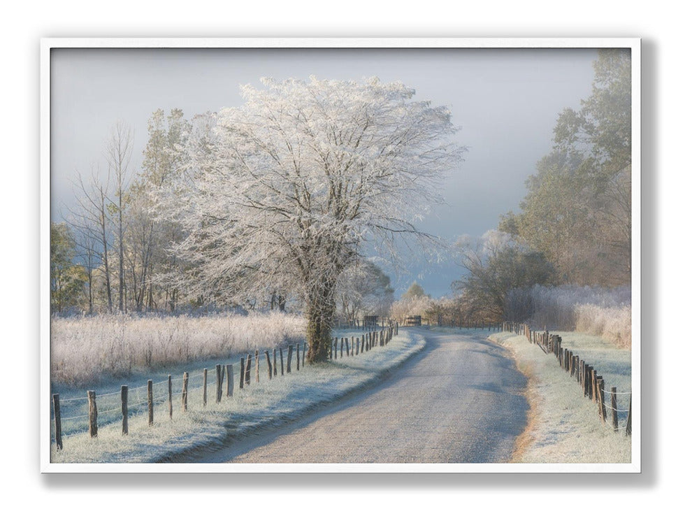 A Frosty Morning Plakat