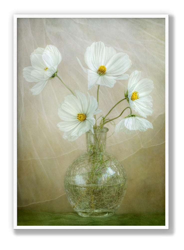 Cosmos breeze Plakat