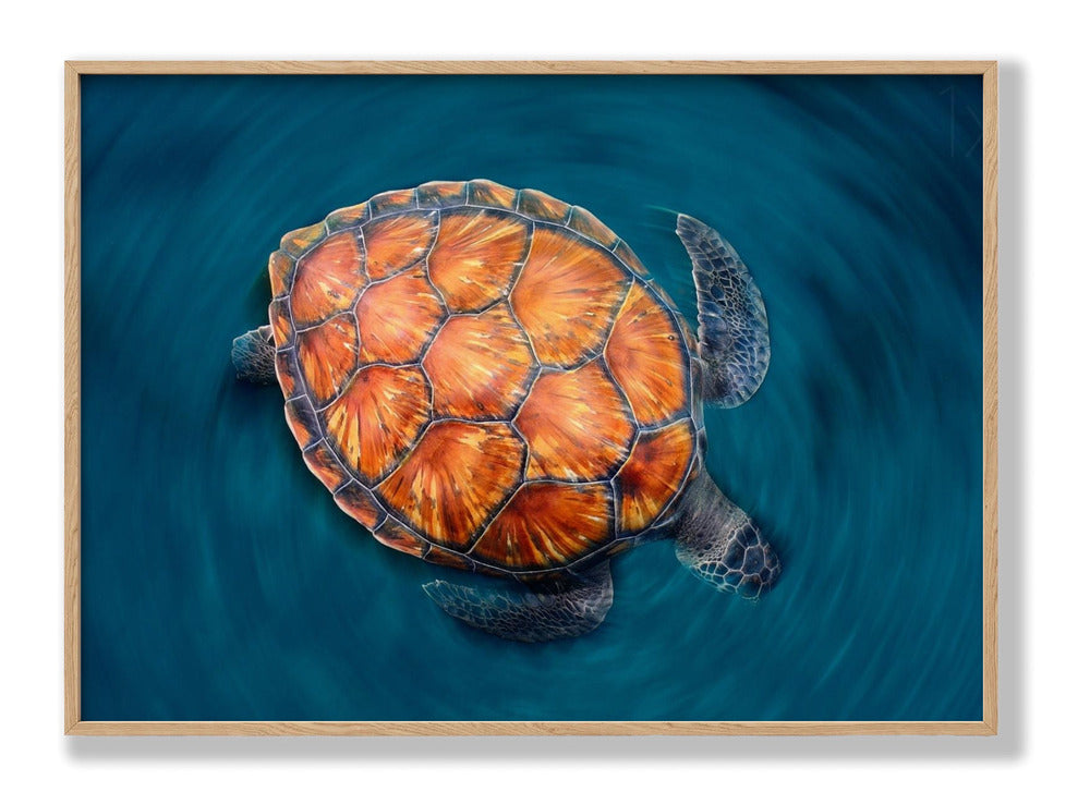 Spin Turtle Plakat