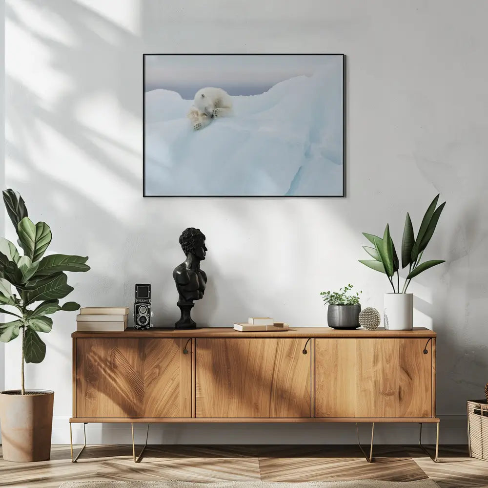 Polar Bear Grooming Plakat