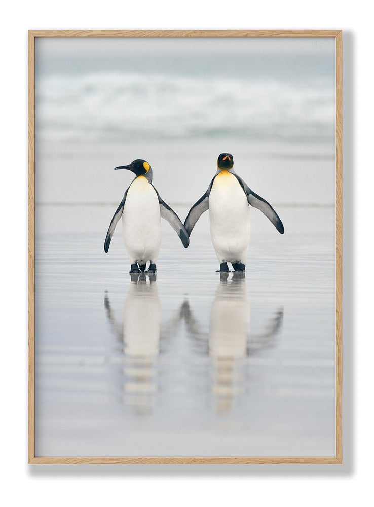 Friends Plakat