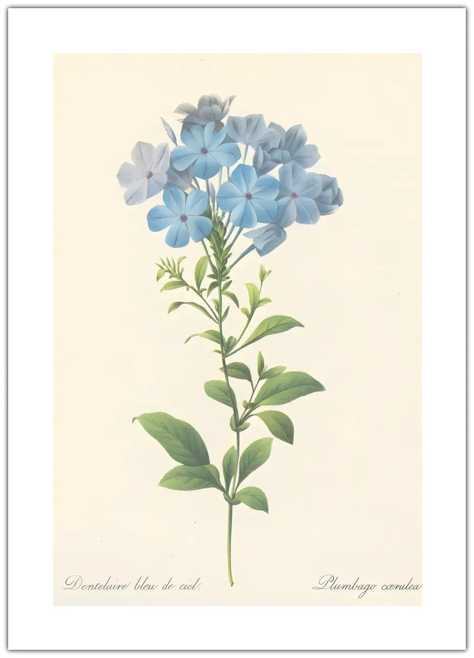 Blue Flower Botanical Plakat