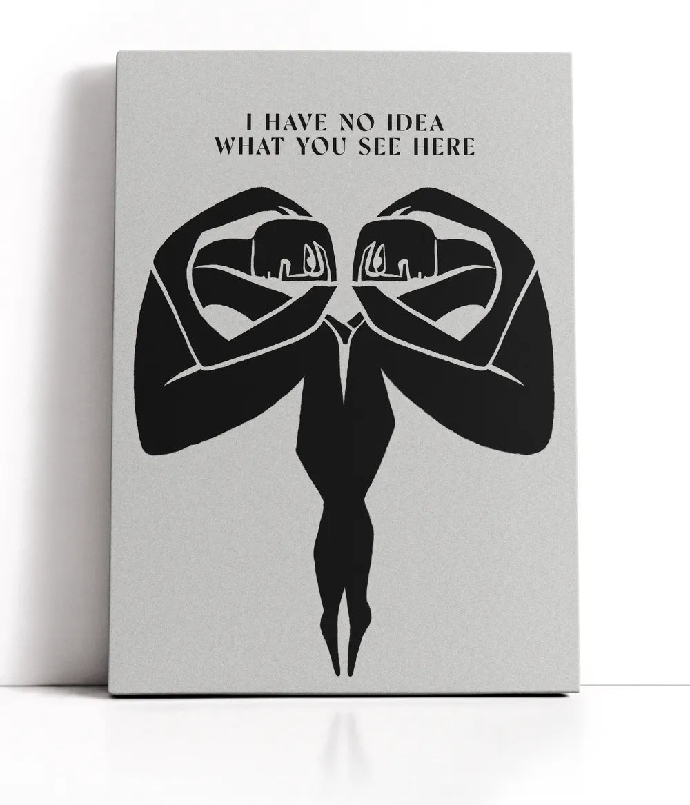 No Idea What You See Lærred