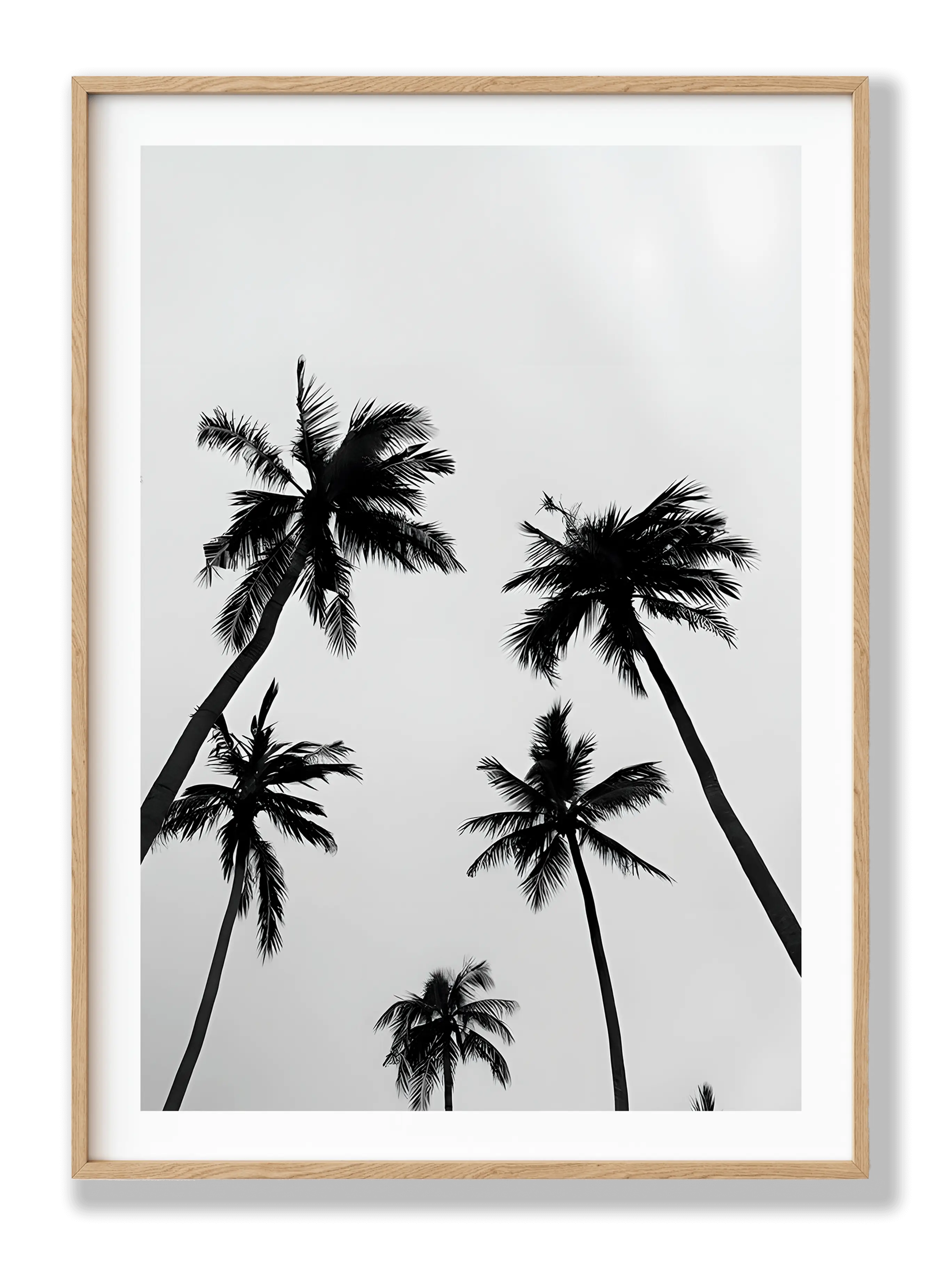 Palm Trees Plakat