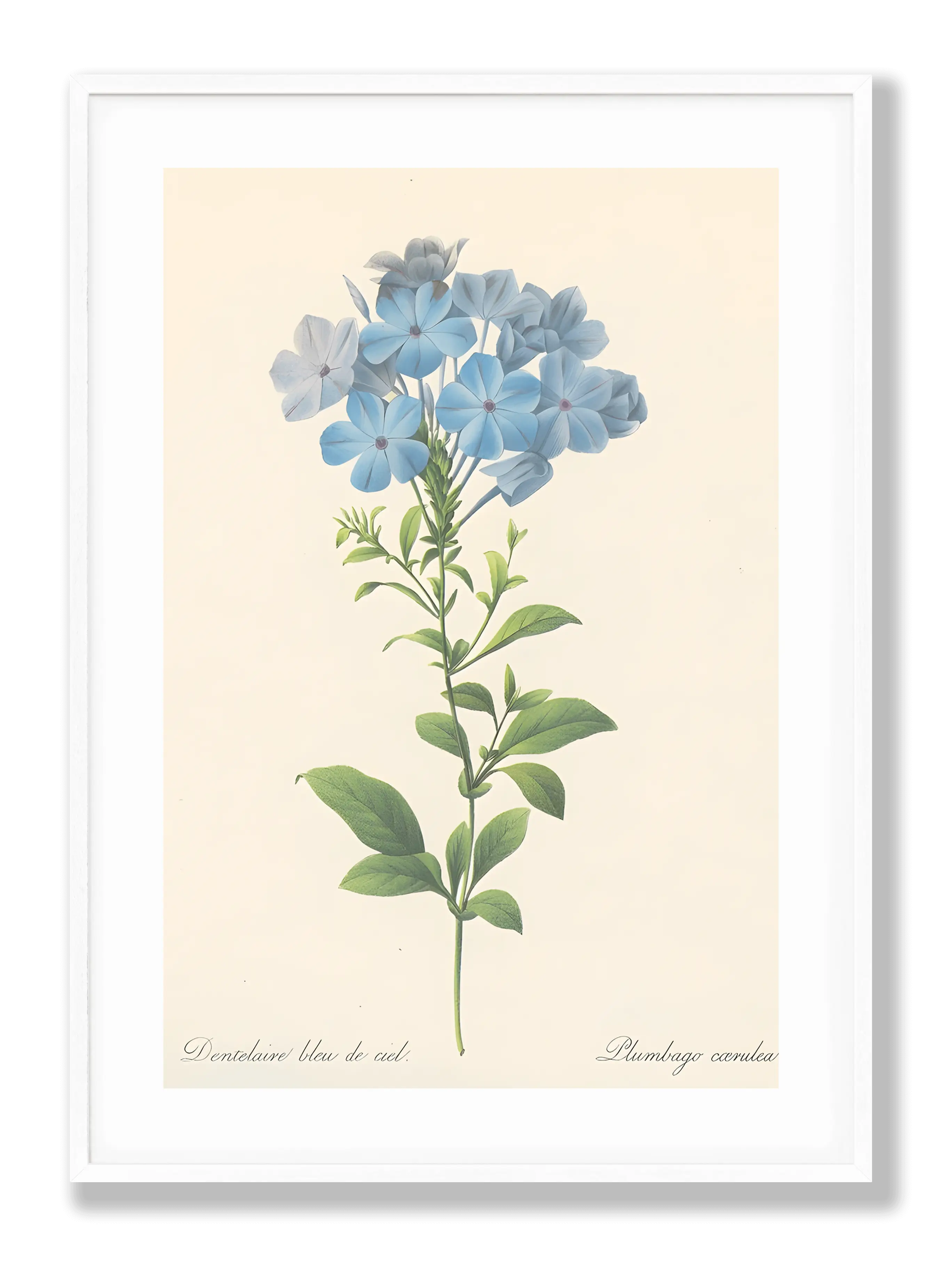 Blue Flower Botanical Plakat