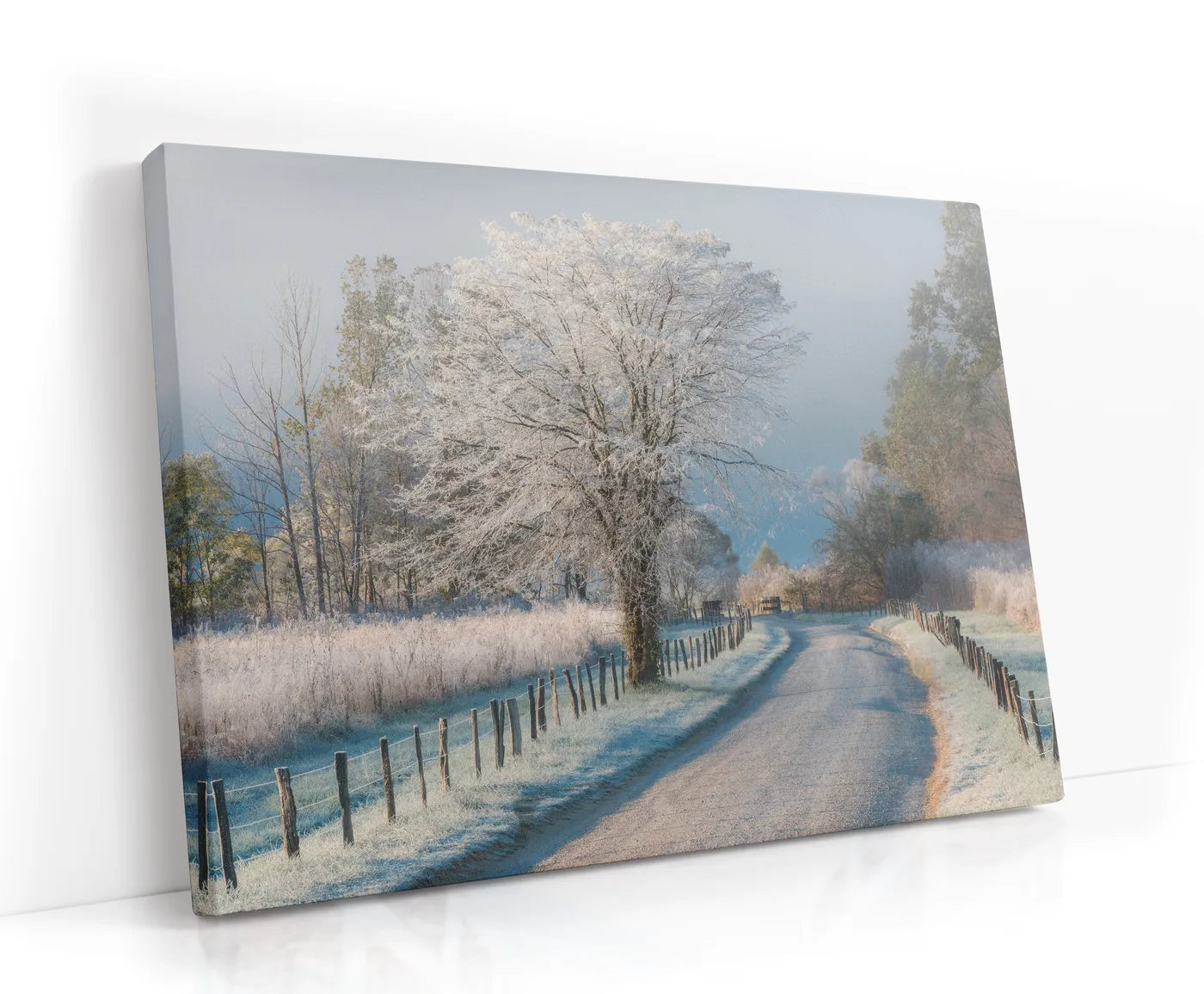 A Frosty Morning Lærred