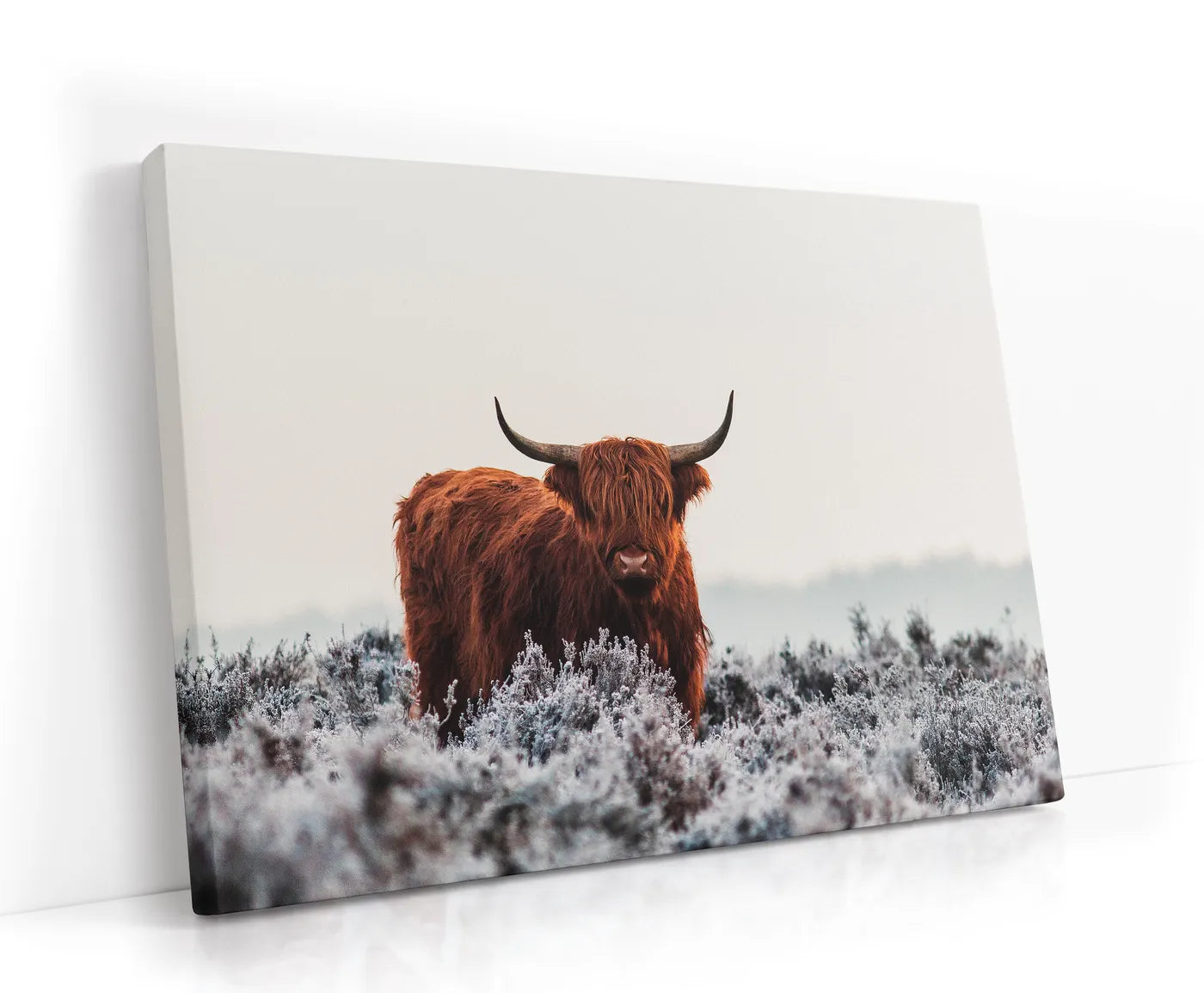 Highlander Lærred