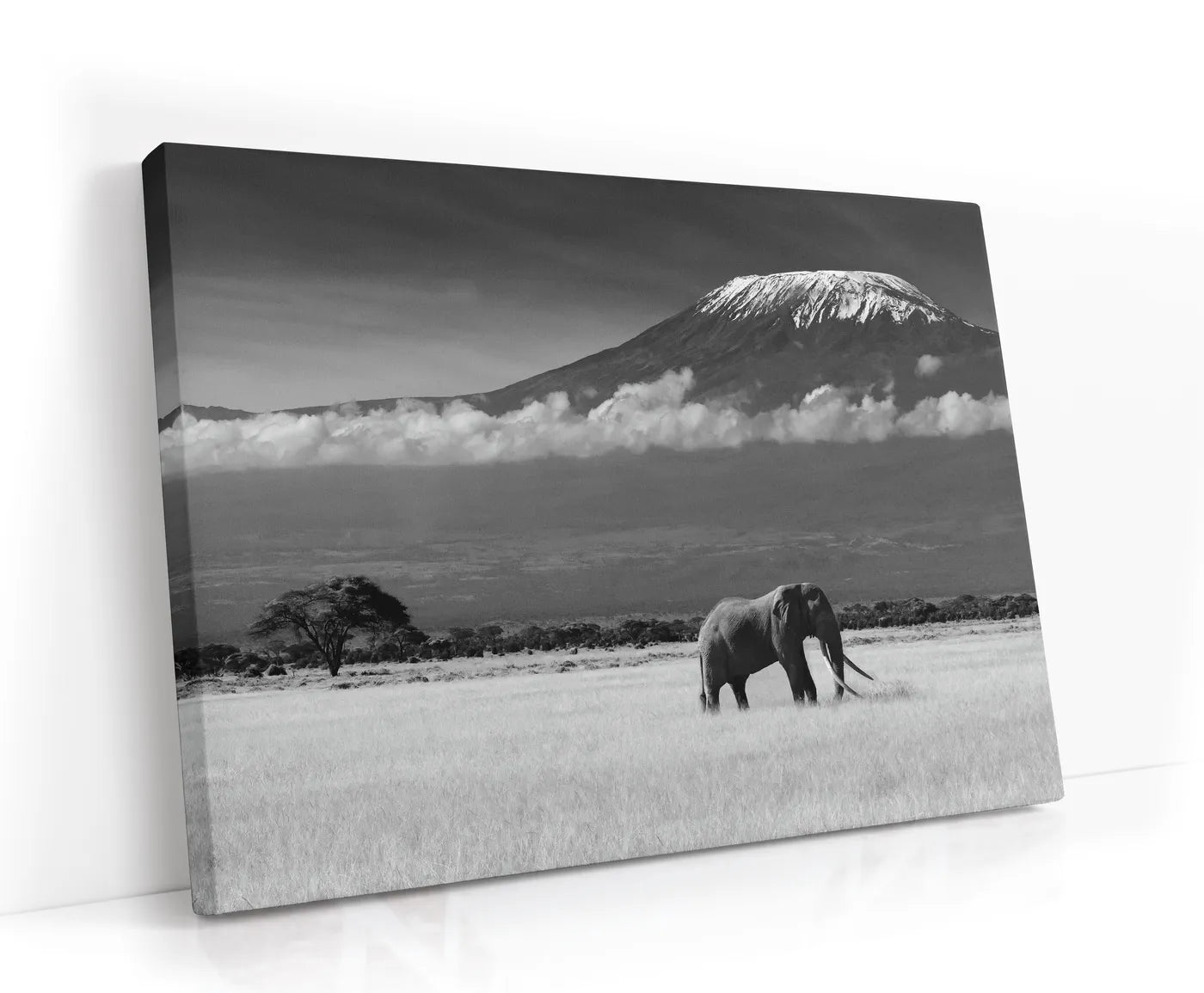 Lost Colors II Lærred