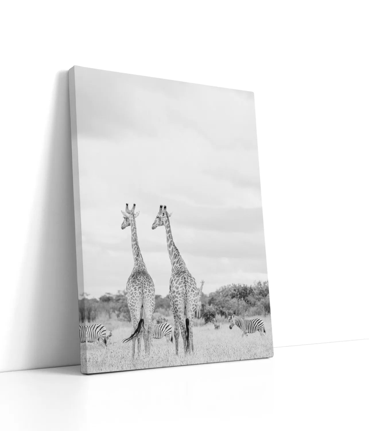 Super Safari No2 Lærred