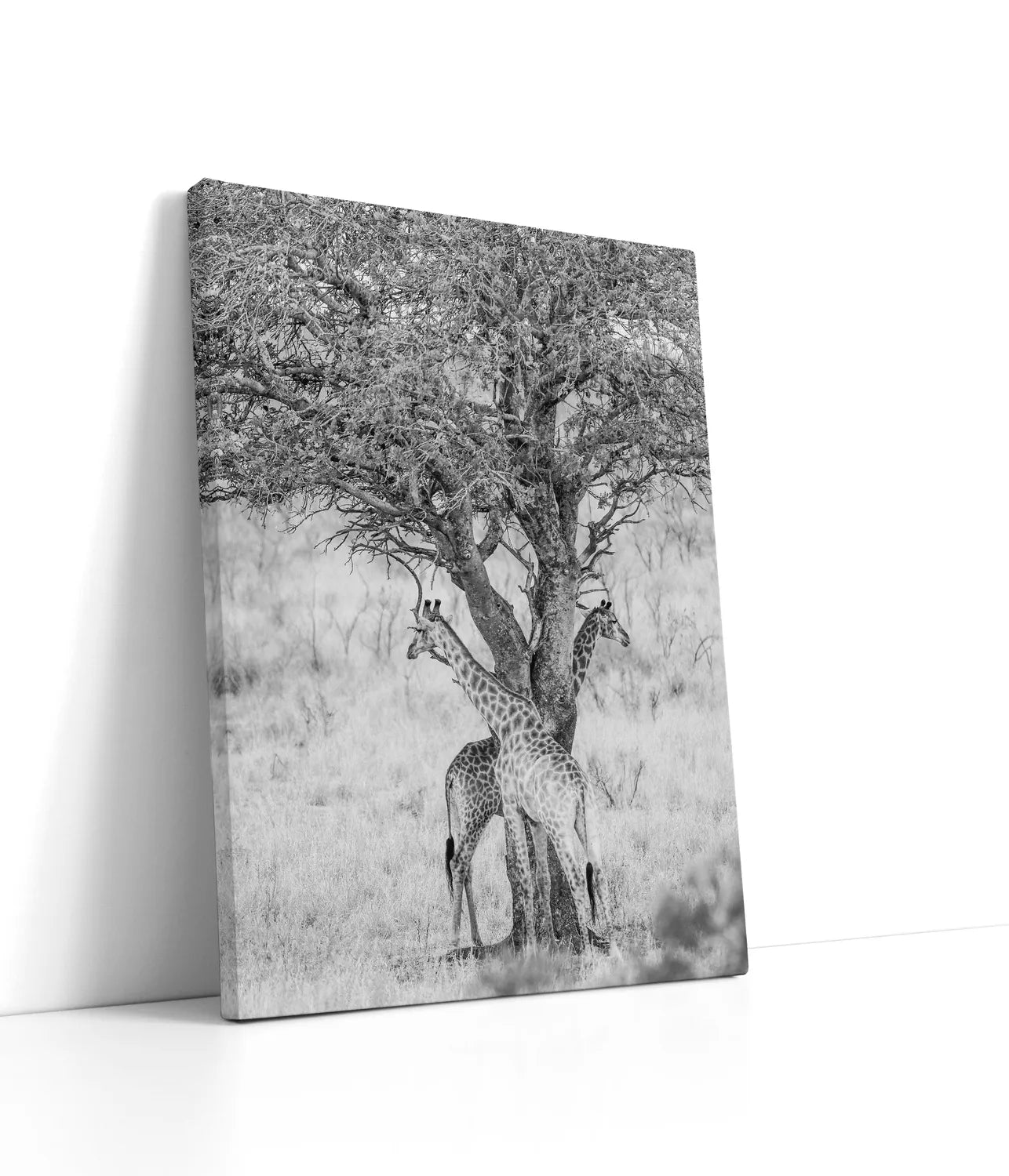 Got Your Back Lærred