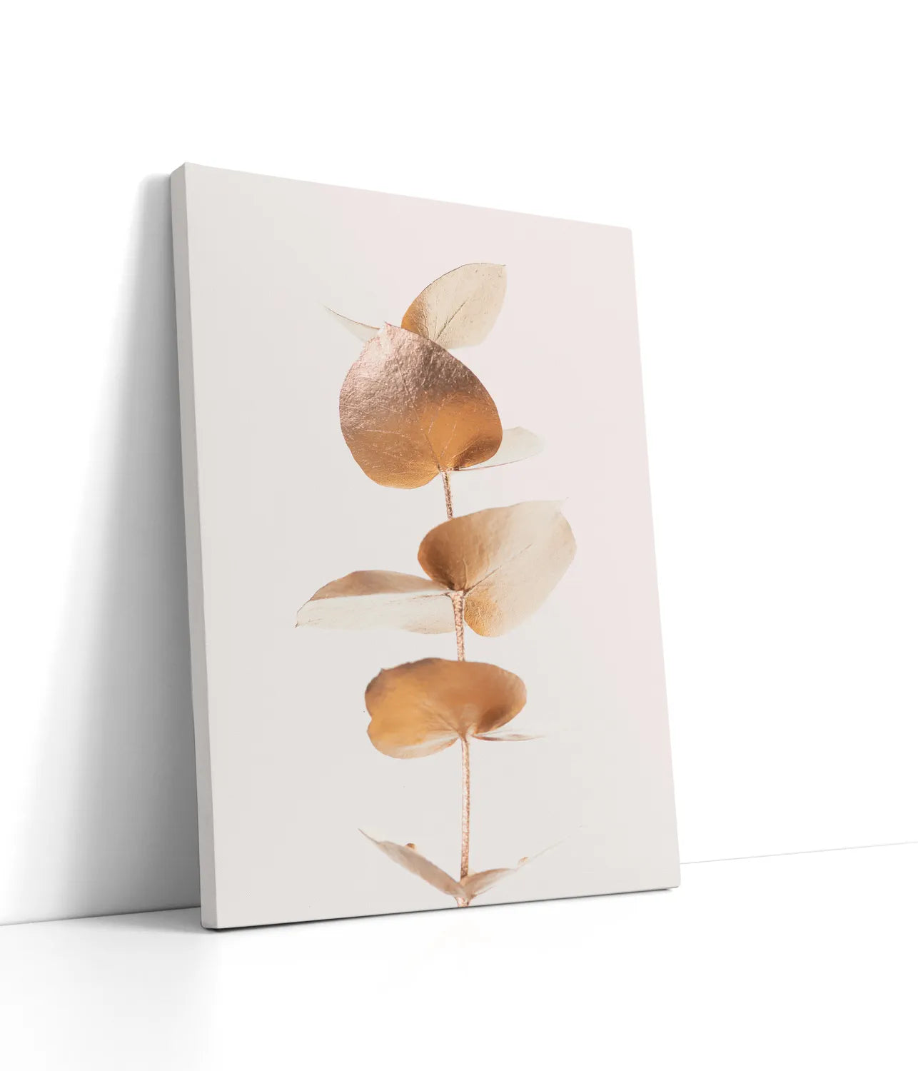 Eucalyptus Gold No 06 Lærred