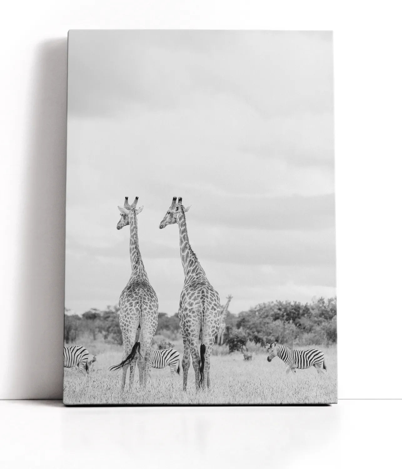 Super Safari No2 Lærred