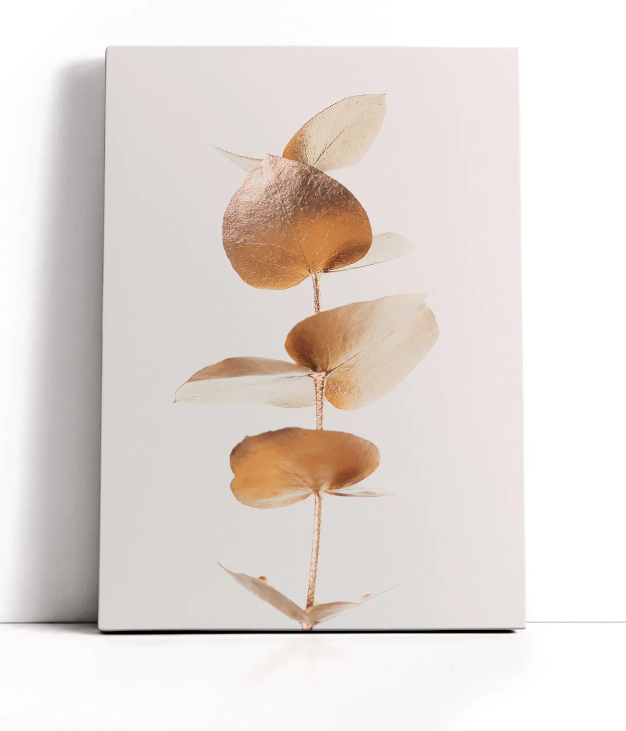 Eucalyptus Gold No 06 Lærred