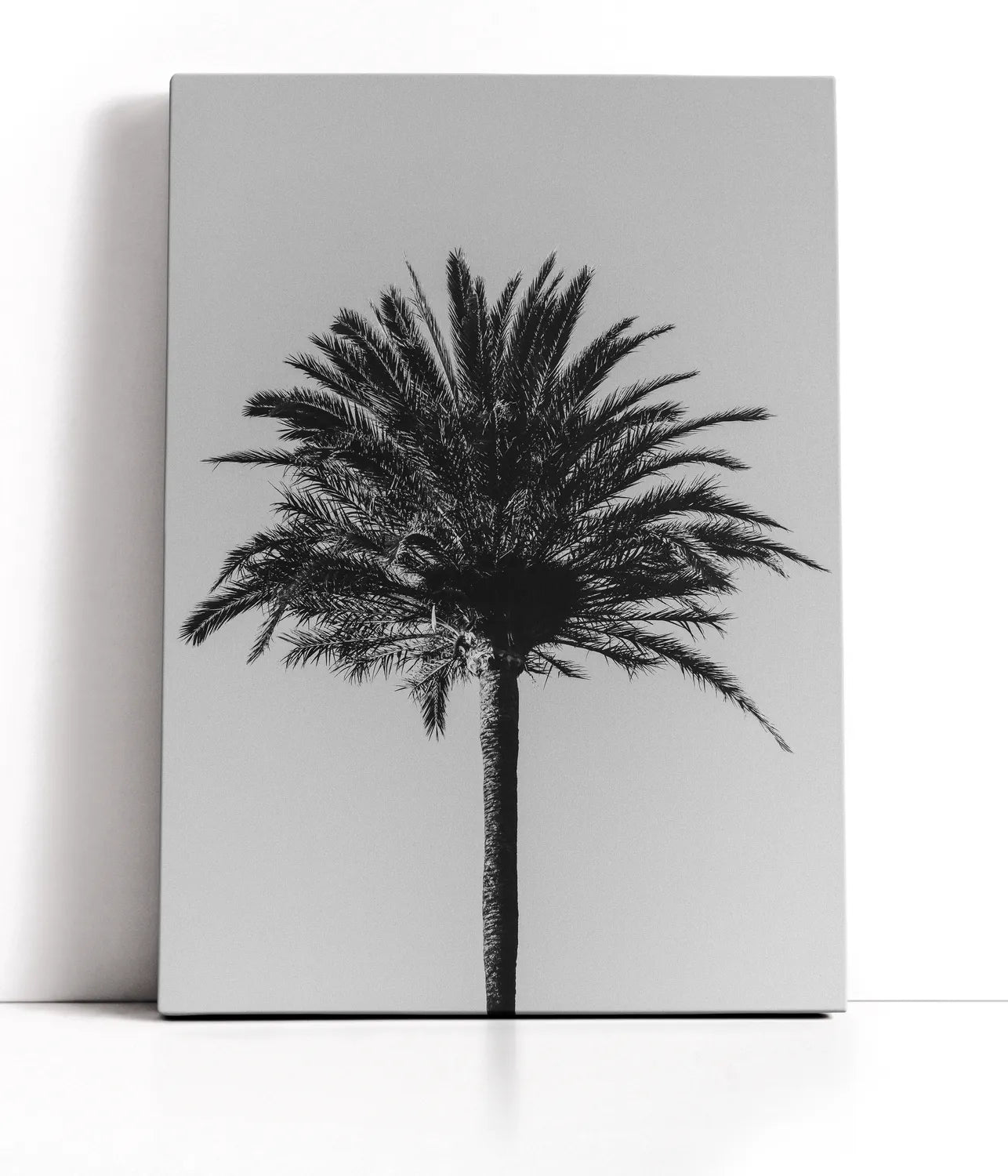 Palm 3 Lærred