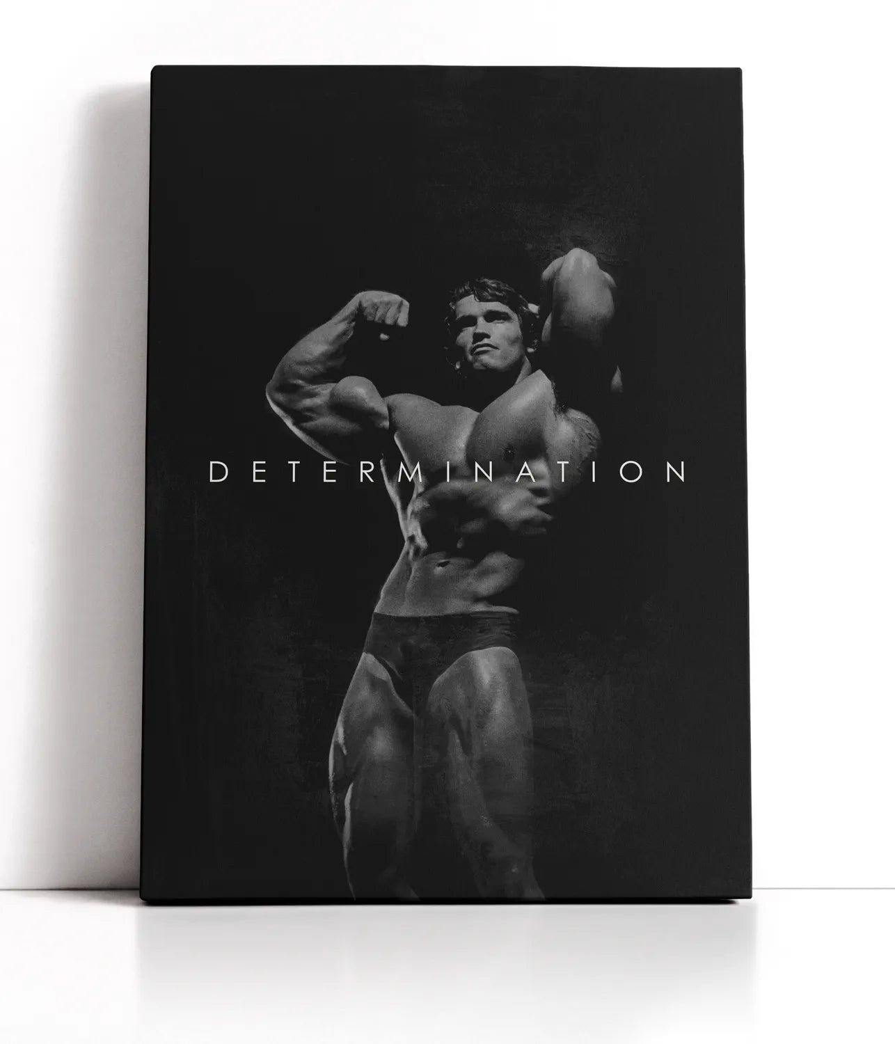 Arnold Schwarznegger Lærred