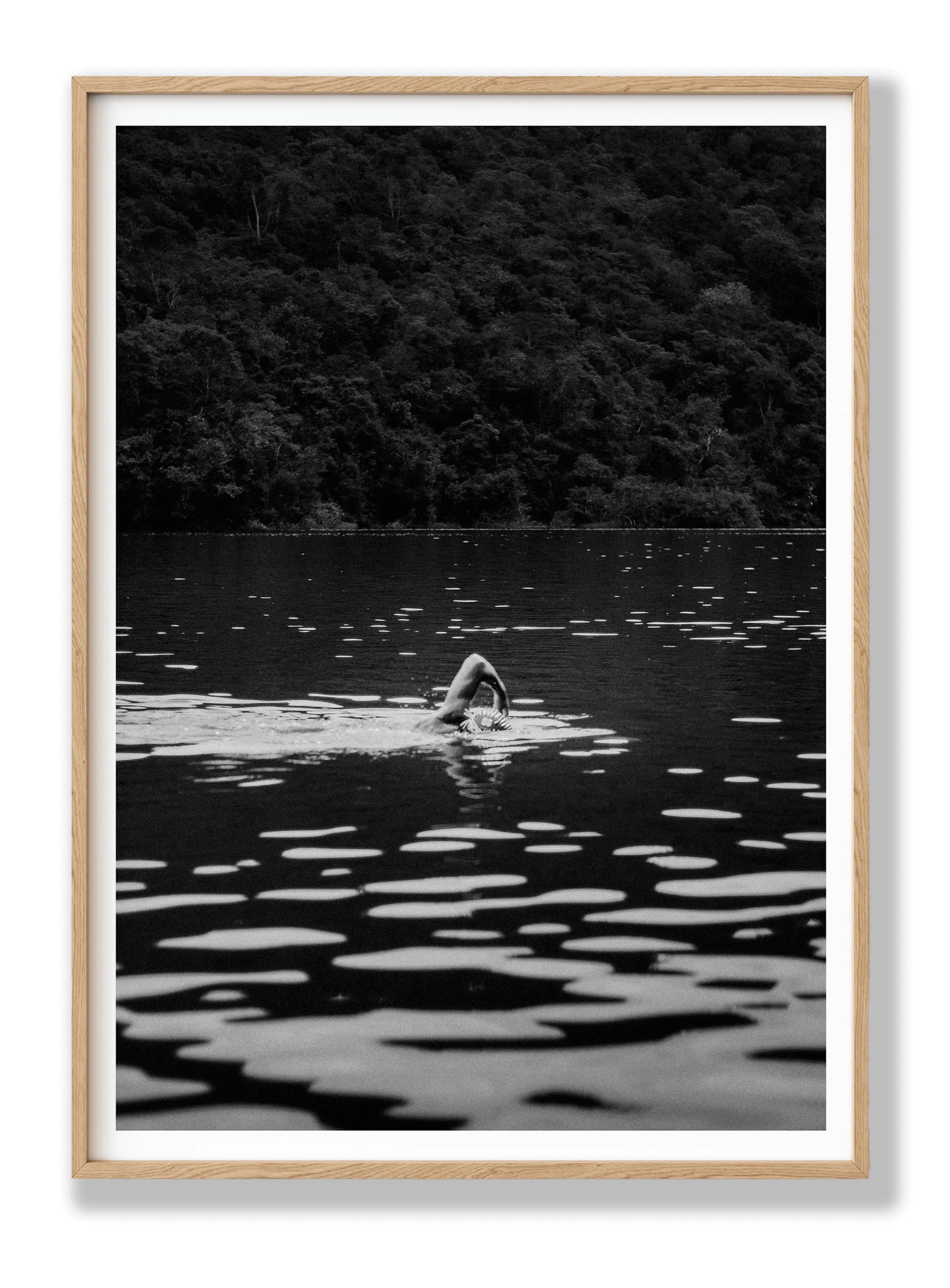 Swimming In The Wild Plakat