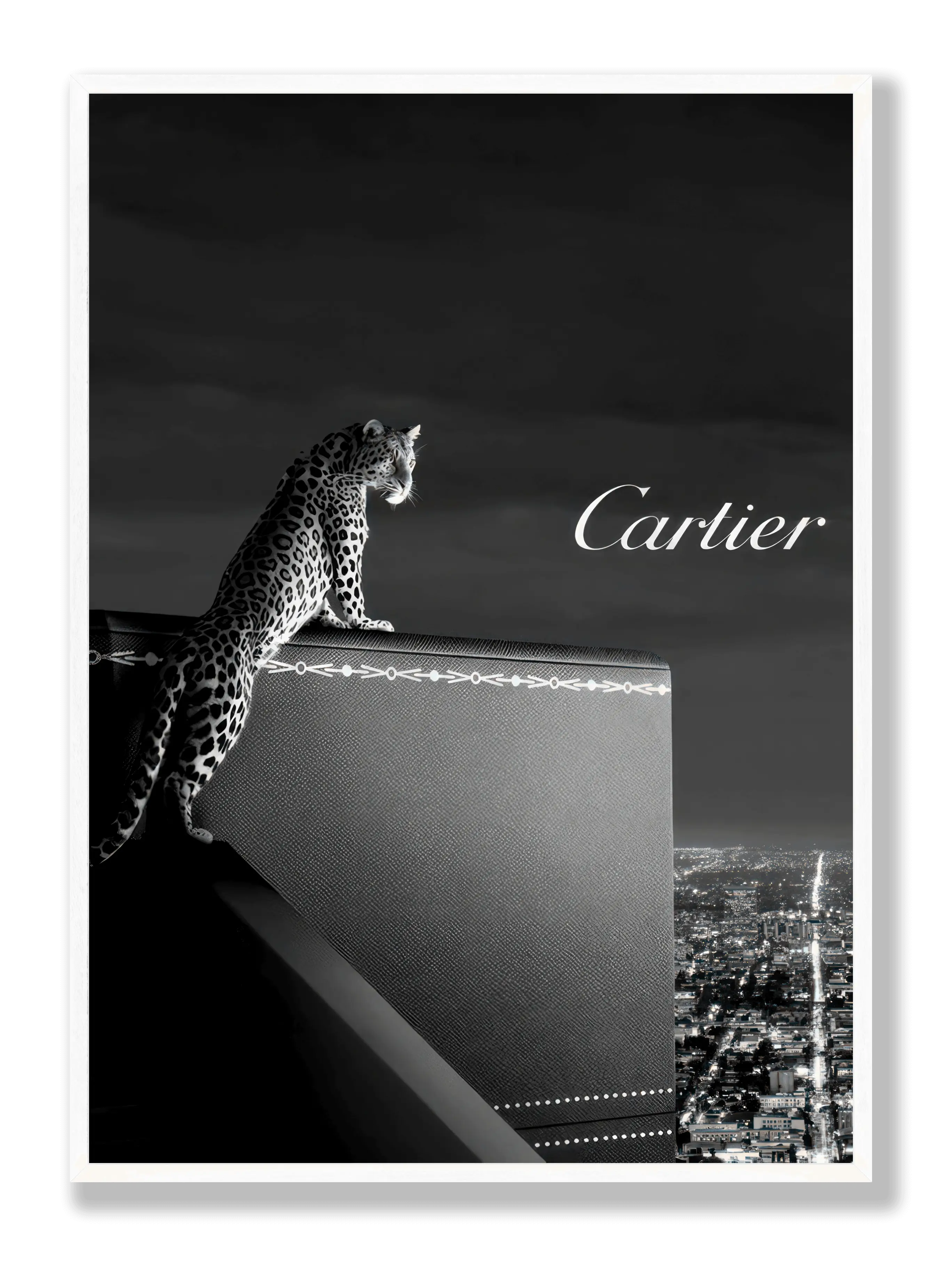 Cartier-Dachposter