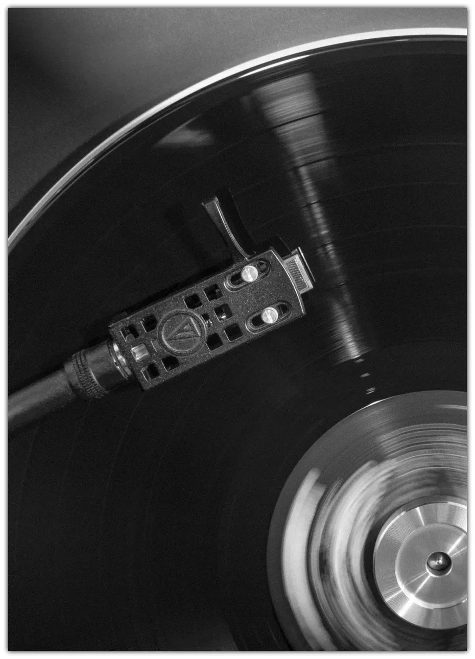 Vinyl 1 Plakat