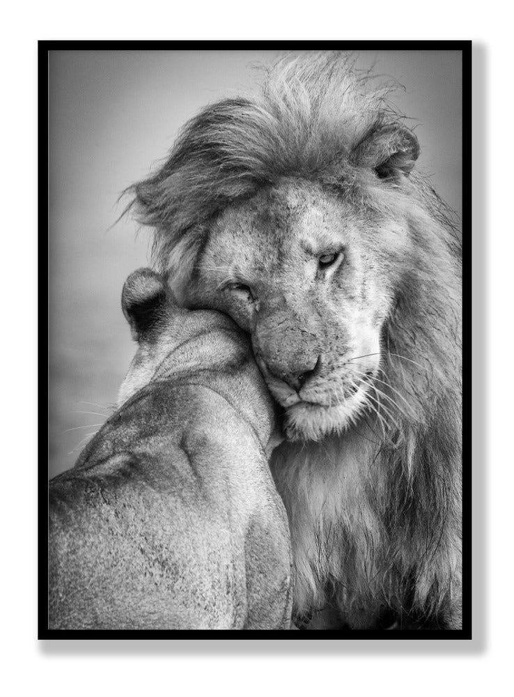 Afrikanische Liebe! Poster