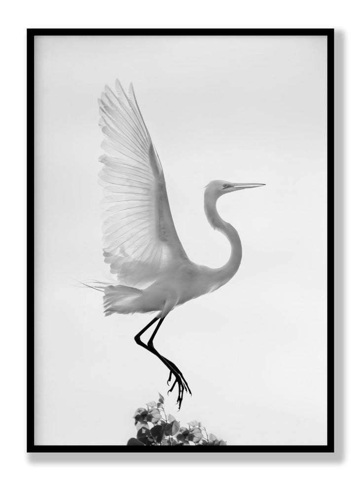 Taking off Plakat